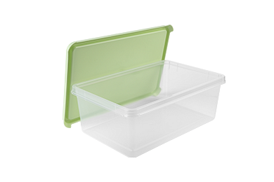 Conteneur Freshpak 4 L, tendrement vert